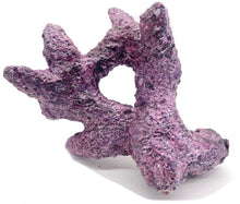 Tropic Eden Morroca Rock - Irregular Branch 8"-10"