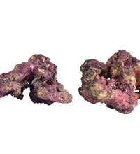 Ecoscape Reef Mix A