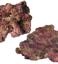 Ecoscape Reef Mix F (Shelf)