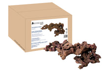 Ecoscape Reef Centerpiece 04