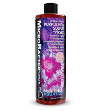 Brightwell MicrōBacterPurple M - Purple Non Sulfur Bacteria 