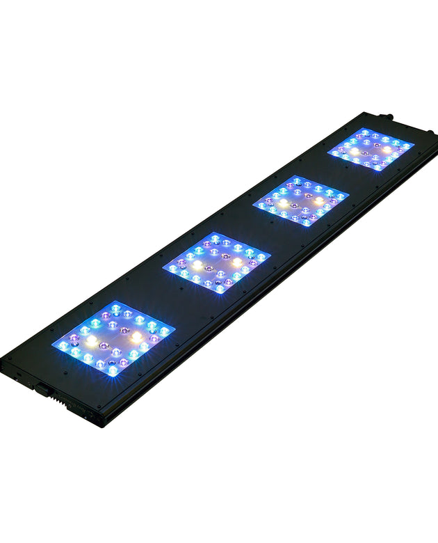 Reef Breeders Meridian 45