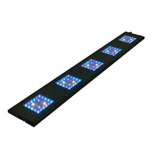 Reef Breeders Meridian 63