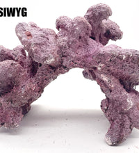 Tropic Eden Morroca Rock - (1 Single Cave WYSIWYG)