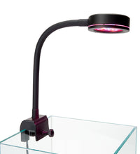 ReefBreeders Pico Refugium LED