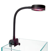 ReefBreeders Pico Refugium LED