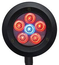 Reef Breeders Pico 2023 LED