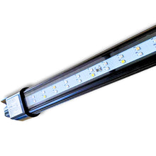 Dalua Illumagic 36 Vitamini Super Actinic Strip Light