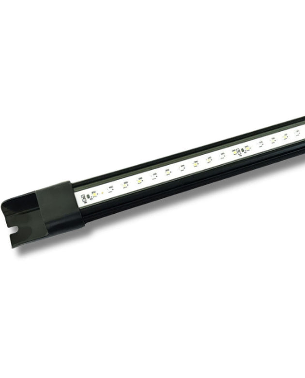 Dalua Illumagic 60 Vitamini Super Actinic Strip Light