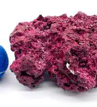 Real Reef 3 lb Piece - WYSIWYG