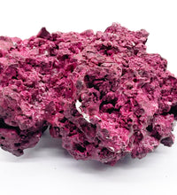 Real Reef 3 lb Piece - WYSIWYG