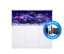 Red Sea Reefer G2+ 625 Complete System - White