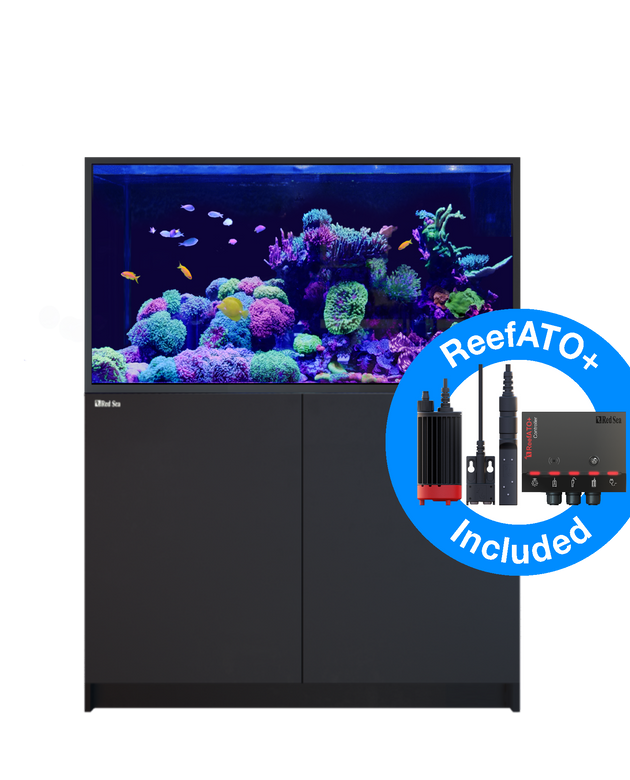 Red Sea Reefer S 550 G2+ Complete System - Black