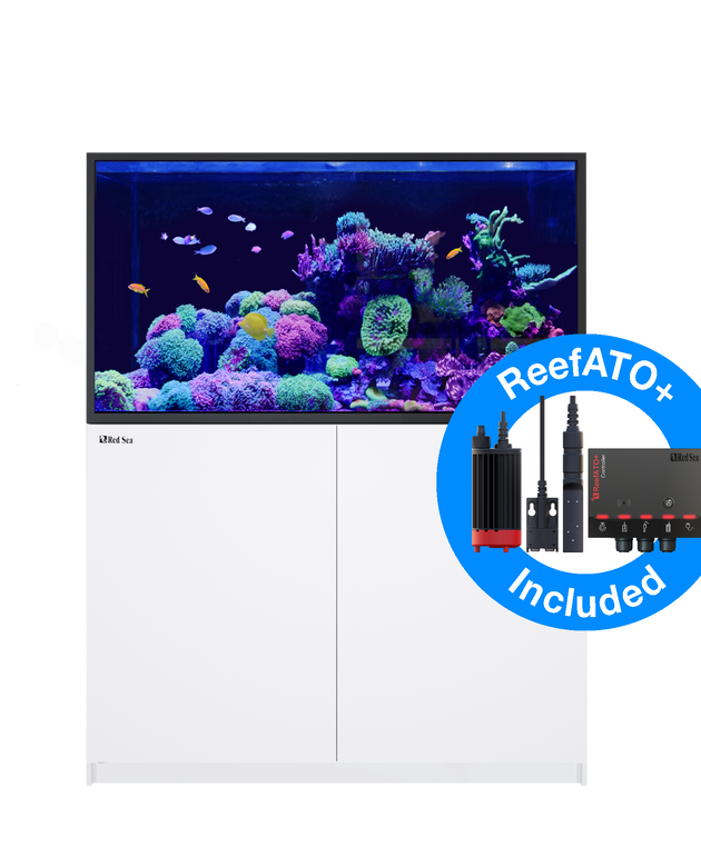 Red Sea Reefer S 550 G2+ Complete System - White