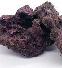 Ecoscape Reef Rock - 1 Piece WYSIWYG