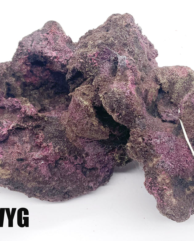 Ecoscape Reef Rock - 1 Piece WYSIWYG