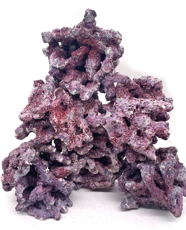 Tropic Eden Morroca Irregular Rock - Medium - SIX Piece Rock Box