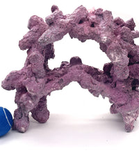 Tropic Eden Morroca Rock - (3 Piece WYSIWYG - 1 Medium Irregular, 1 Double Cave, 1 Single Cave)