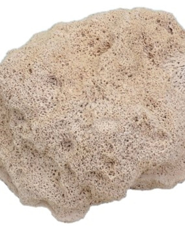CerMedia MarinePure Rock - Medium