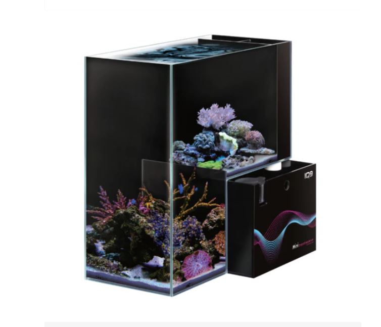 drop in fish box DYMAX IQ9 Mini Drop Off Acrylic Aquarium Marine