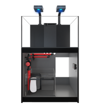 Red Sea REEFER 250 G2+ Deluxe - Black (incl. 2 X RL115 & arms)