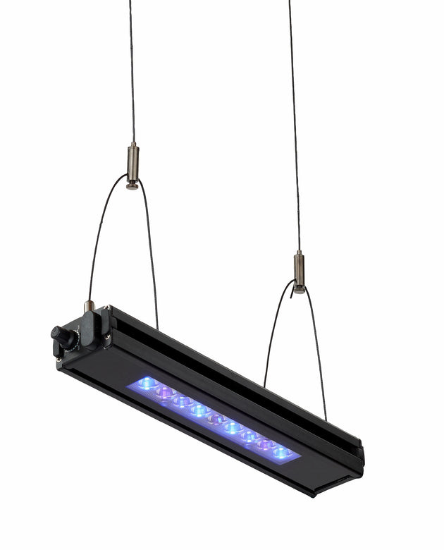 Reef Breeders Edge 12 Reefer 14K Manual