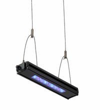 Reef Breeders Edge 12 Reefer 14K App+ Manual