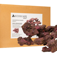 Ecoscape Reef Centerpiece 07