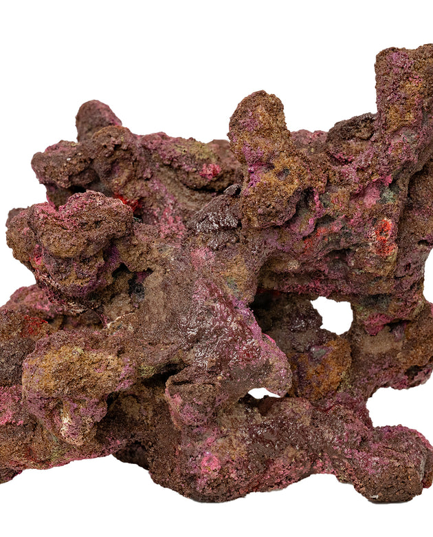 Ecoscape Reef Centerpiece 07