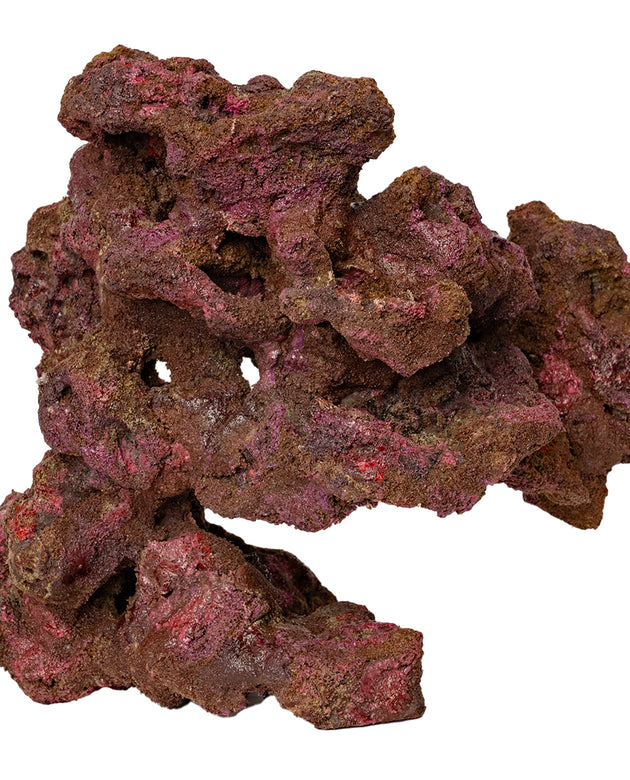 Ecoscape Reef Centerpiece 08