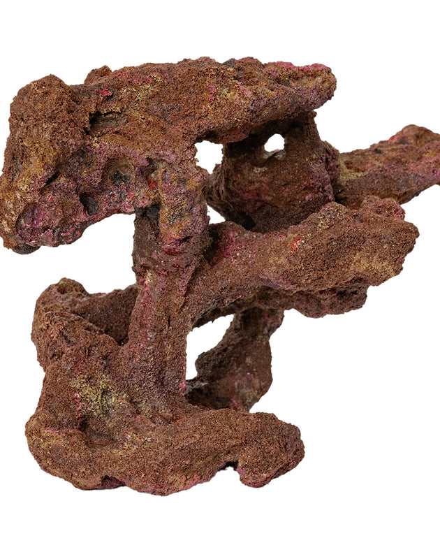 Ecoscape Reef Centerpiece 09