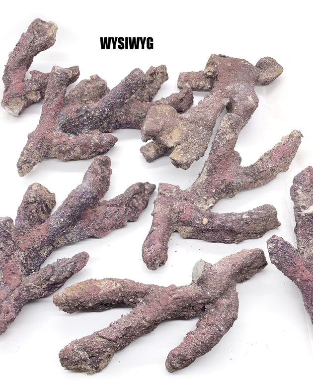 CaribSea Branch LifeRock - 7 Pieces - WYSIWYG