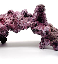 Tropic Eden Morroca Rock - Twin Peak Cave - One Piece (2.25 - 2.5lbs)