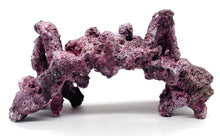 Tropic Eden Morroca Rock - Twin Peak Cave - One Piece (2.25 - 2.5lbs)