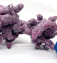 Tropic Eden Morroca Side x Side Double Irregular Reef Rock