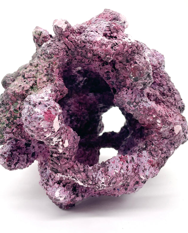 Tropic Eden Morroca Reef Cradle Rock - Small ONE Piece (1.8 - 2.4 lbs)