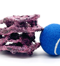 Tropic Eden Morroca MontiStack Reef Rock - Small 5