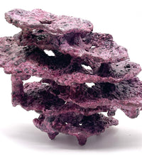 Tropic Eden Morroca MontiStack Reef Rock - Large 9x5x7.5