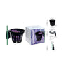 Fauna Marin Anemone Cup