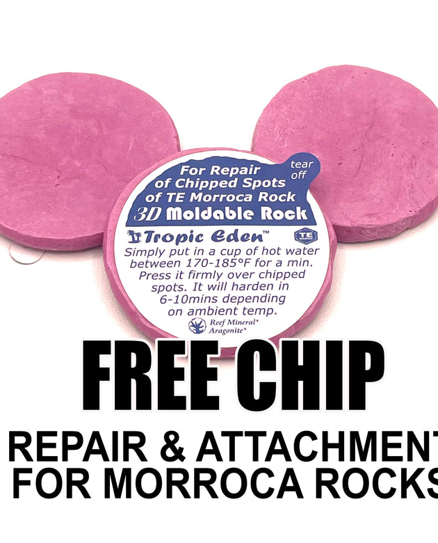 Tropic Eden Morroca Rock Repair Chip - Free with every rock order