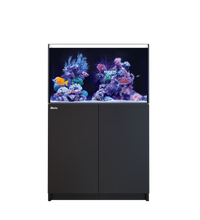 Red Sea REEFER 250 G3 Black