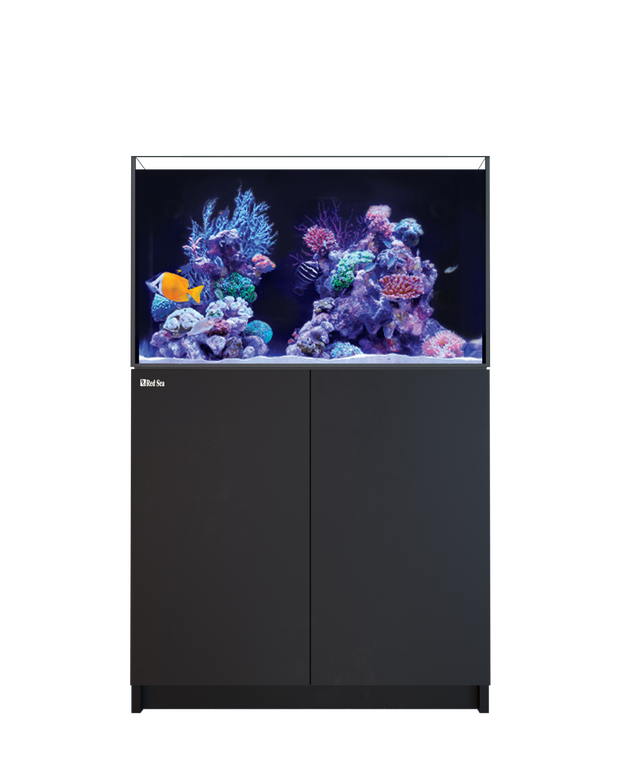 Red Sea REEFER 250 G3 Black