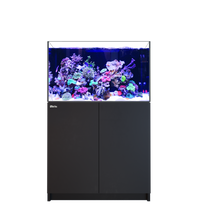 Red Sea REEFER 300 G3 Black