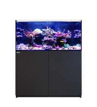Red Sea REEFER 350 G3 Black
