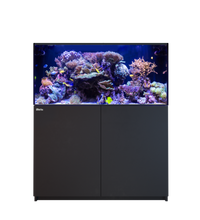 Red Sea REEFER 425 G3 Black
