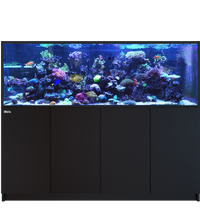 Red Sea REEFER 750 G3 Black