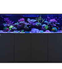 Red Sea REEFER S-1000 G3 Black