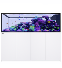 Red Sea REEFER Peninsula S 950 G3 White