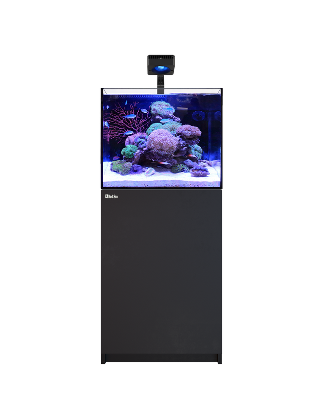 Red Sea REEFER 170 G3 Deluxe - Black (incl. 1 X RL115 & arm)