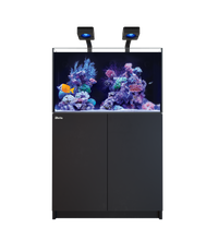 Red Sea REEFER 250 G3 Deluxe - Black (incl. 2 X RL115 & arms)